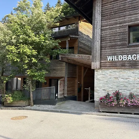 Wildbachhof 15 By Interhome Διαμέρισμα Τσελ αμ Ζέε